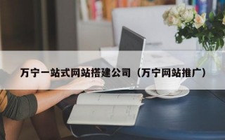 万宁一站式网站搭建公司（万宁网站推广）